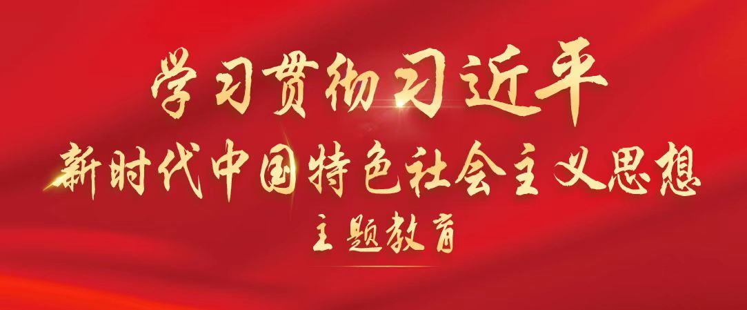學習貫徹習近平新時代中國特色社會主義思想主題教育